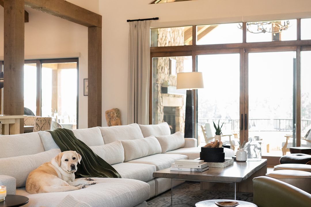 Modern Mountain Interior Design